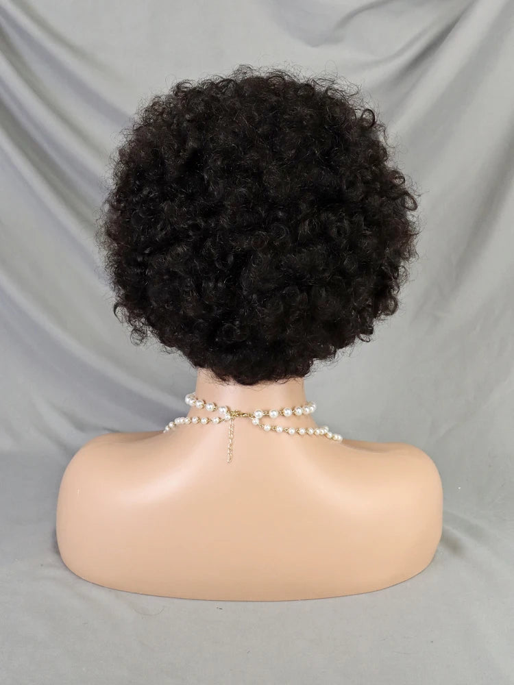 13x4 Lace Frontal Pixie Curly Braided Natural Human Hair